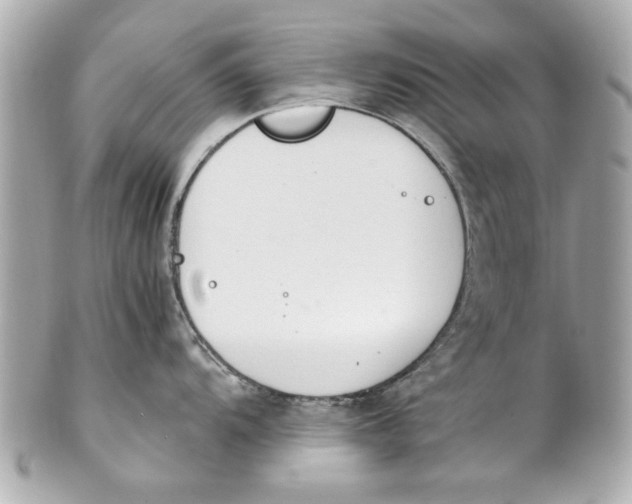 X0000101661104200807311429