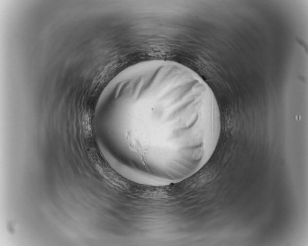 X0000101661106200807311429