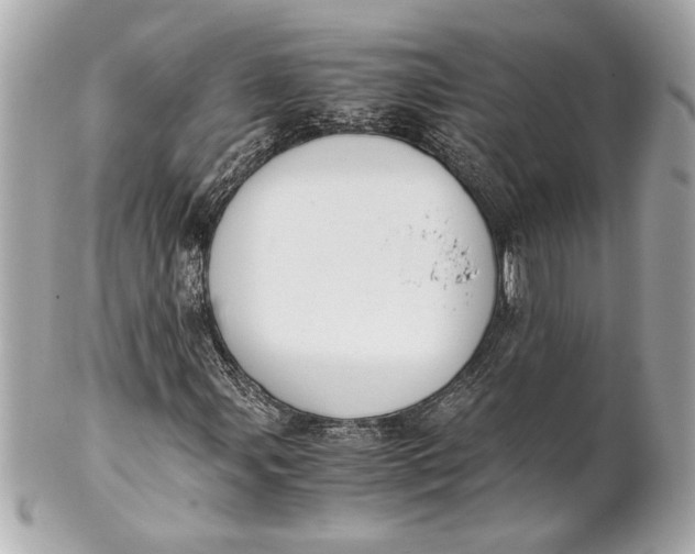 X0000101661107200807311429