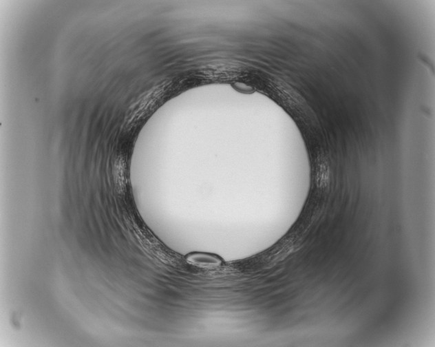 X0000101661108200807311429