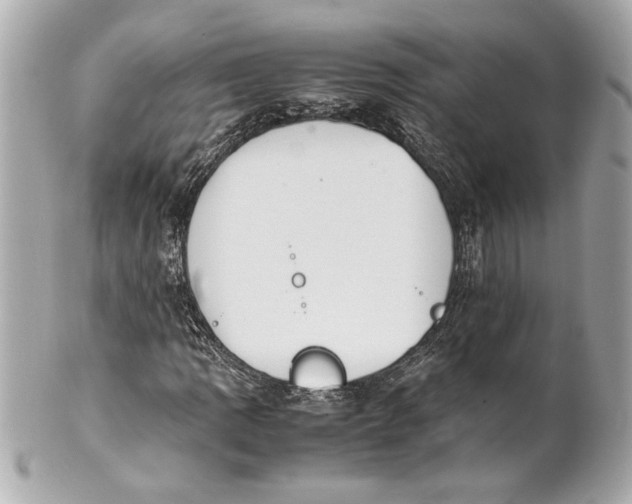 X0000101661109200807311429