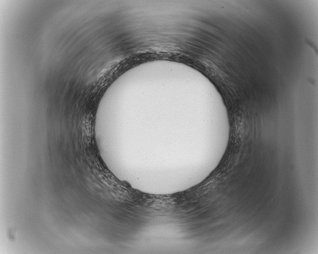 X0000101661110200807311429