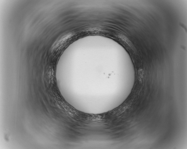 X0000101661111200807311429