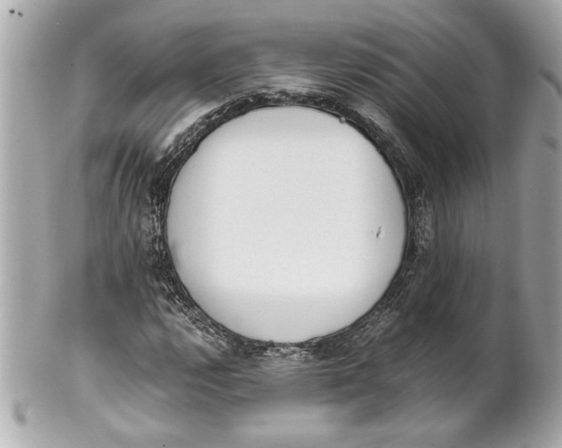 X0000101661112200807311429