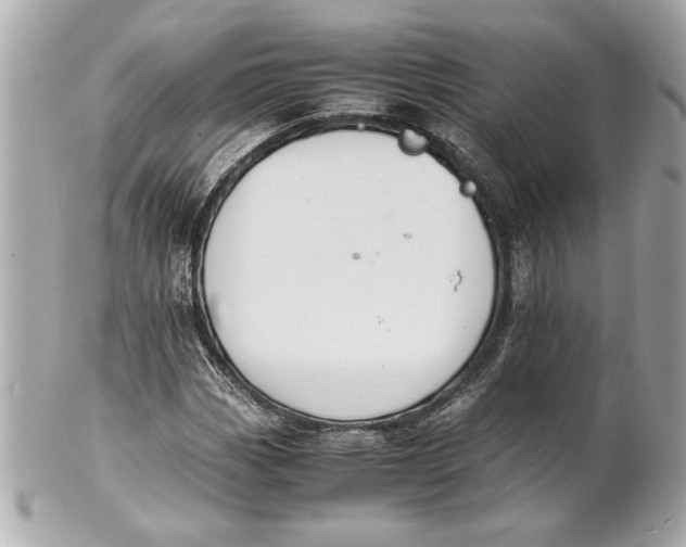 X0000101661113200807311429