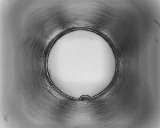 X0000101661114200807311429