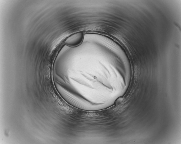 X0000101661115200807311429