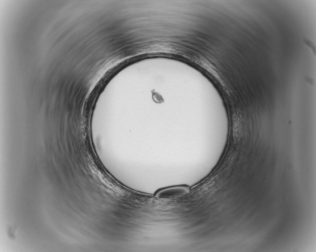 X0000101661116200807311429