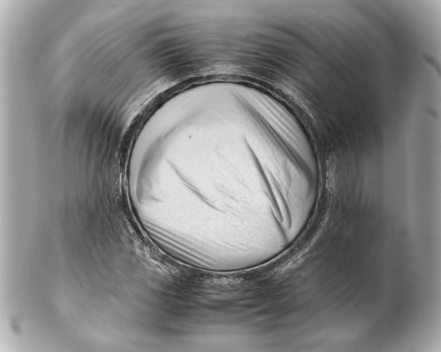 X0000101661117200807311429