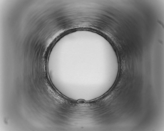 X0000101661118200807311429