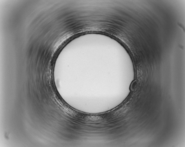 X0000101661119200807311429