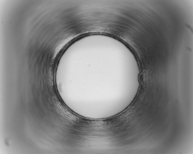 X0000101661120200807311429