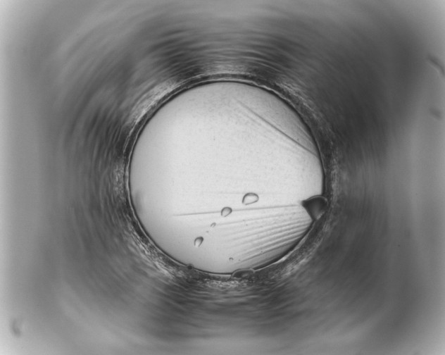 X0000101661121200807311429