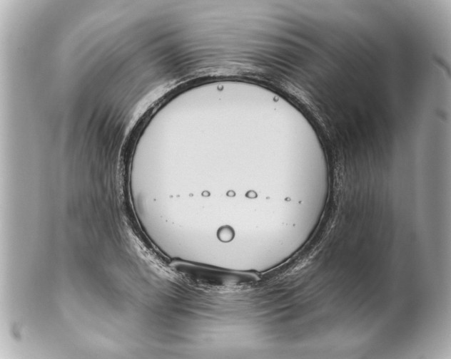 X0000101661122200807311429