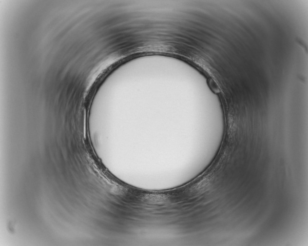 X0000101661123200807311429