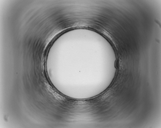 X0000101661124200807311429