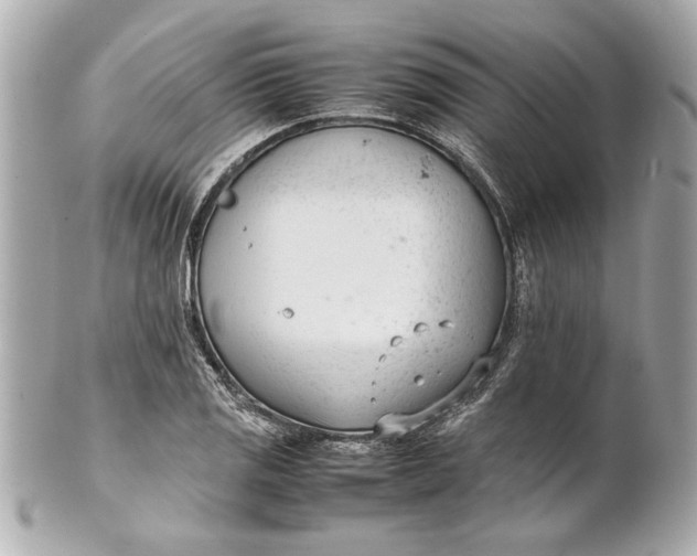 X0000101661125200807311429