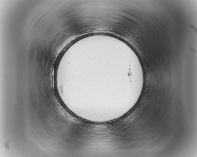 X0000101661126200807311429