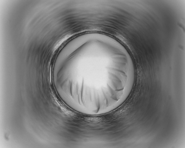 X0000101661127200807311429