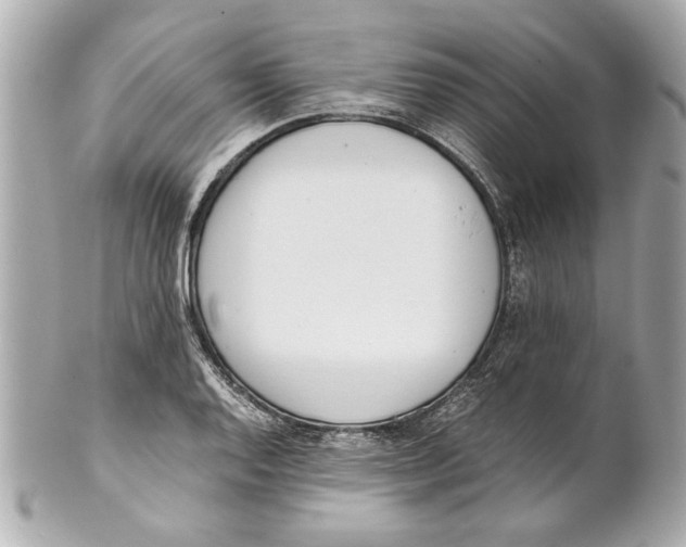 X0000101661128200807311429