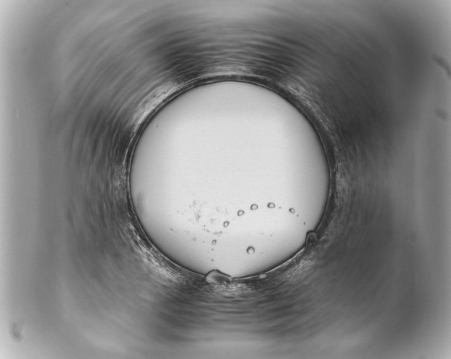 X0000101661129200807311429