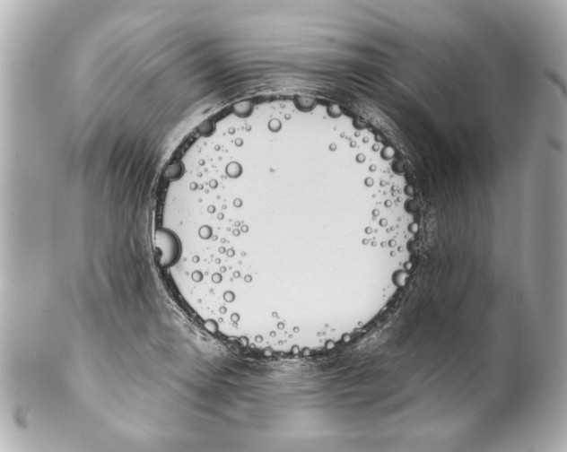 X0000101661130200807311429