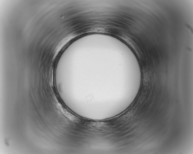 X0000101661131200807311429