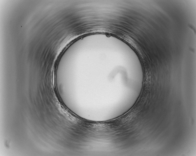 X0000101661132200807311429