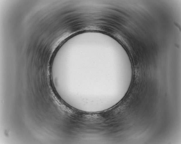 X0000101661133200807311429