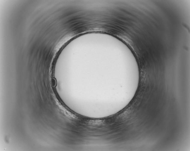 X0000101661135200807311429