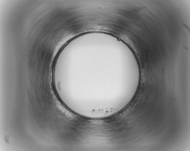 X0000101661136200807311429