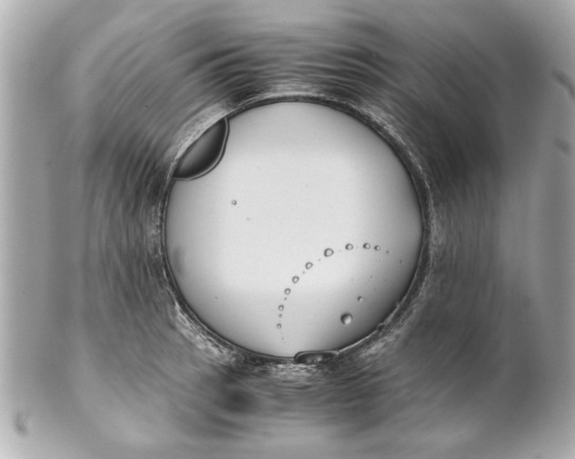 X0000101661137200807311429