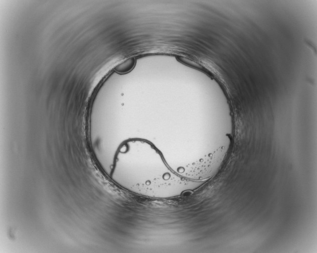 X0000101661138200807311429