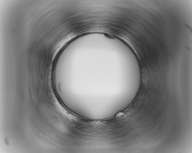 X0000101661139200807311429