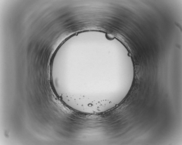 X0000101661140200807311429