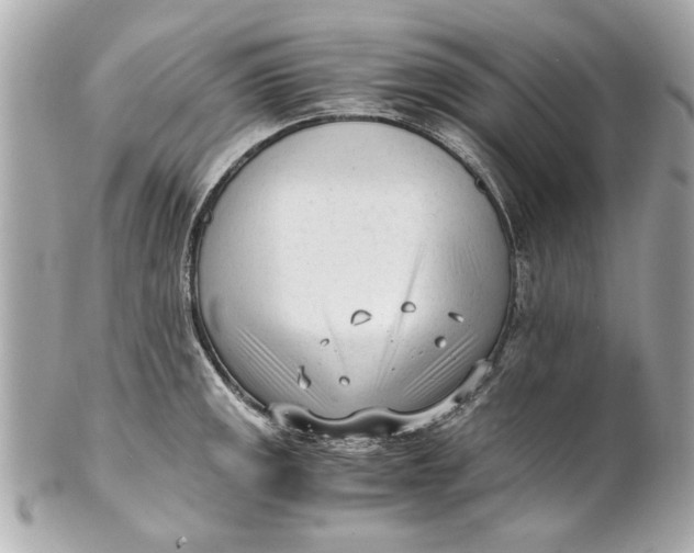 X0000101661141200807311429