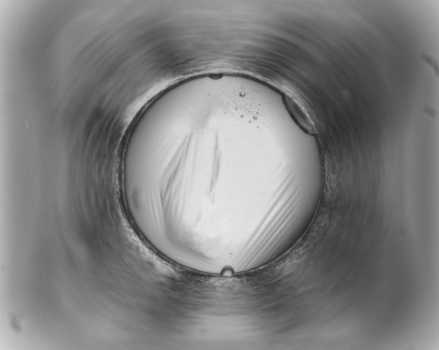 X0000101661142200807311429