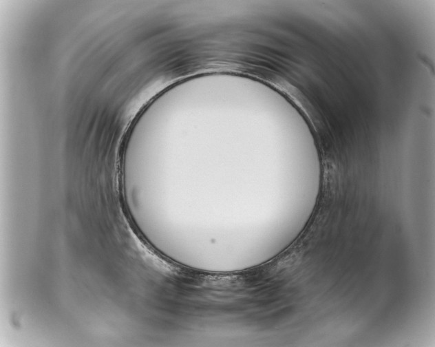 X0000101661143200807311429