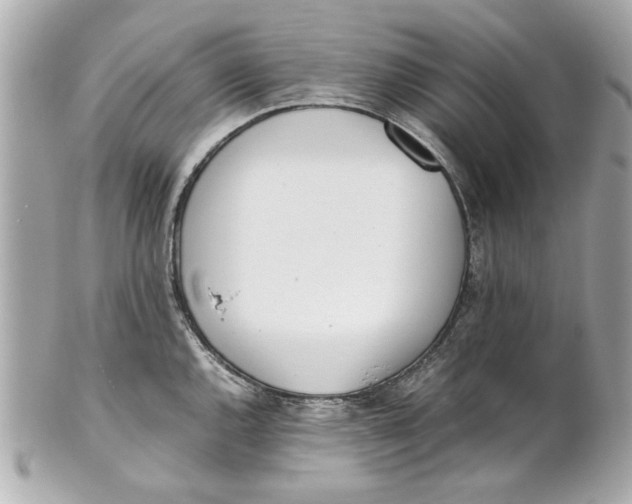 X0000101661144200807311429