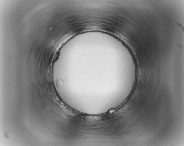 X0000101661145200807311429