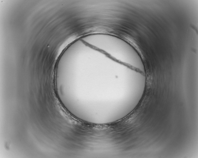 X0000101661146200807311429