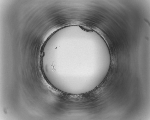 X0000101661147200807311429