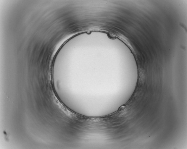 X0000101661148200807311429