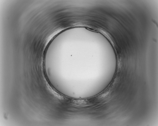 X0000101661149200807311429