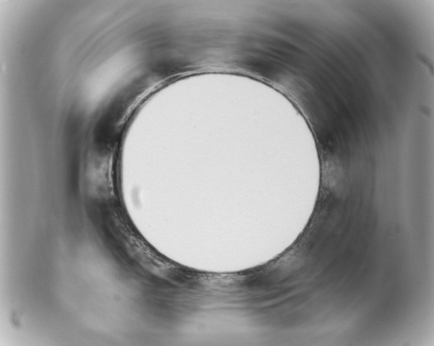 X0000101661150200807311429