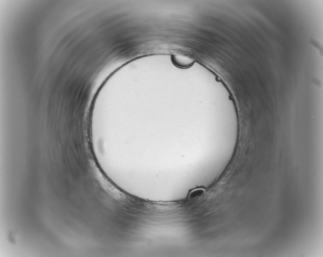 X0000101661152200807311429