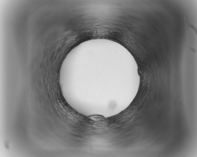 X0000101661153200807311429