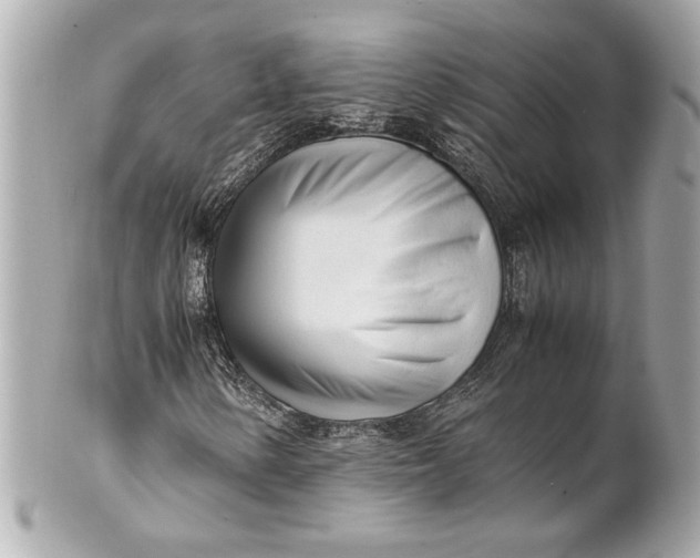 X0000101661154200807311429