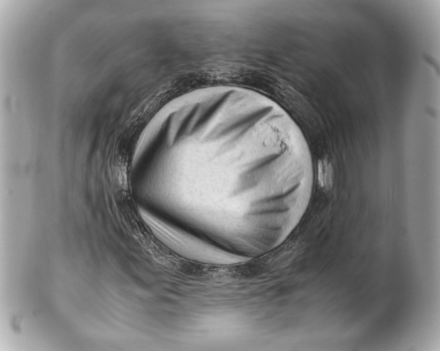 X0000101661155200807311429