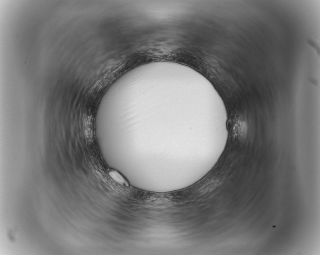 X0000101661156200807311429